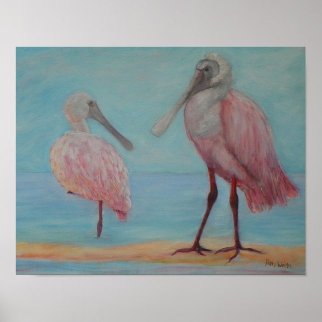 ROSEATE SPOONBILLS IN FLORIDA Poster (Front)