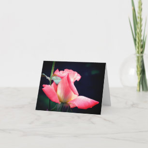 Rosebud Delight Flower Photography Note Card