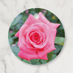 Rosebud Favour Tags