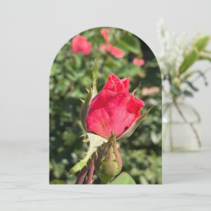 Rosebud garden arch, flat card