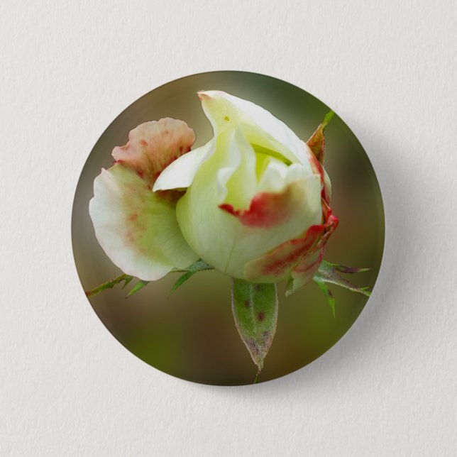 rosebud glowing 6 cm round badge (Front)