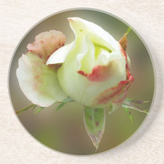 rosebud glowing coaster (Front)