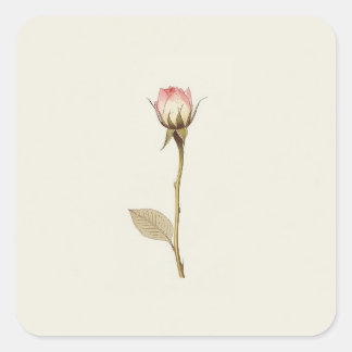 Rosebud of Possibilities artwork Square Sticker