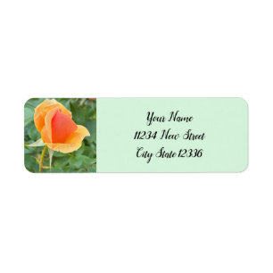 Rosebud Photo Return Address Labels 