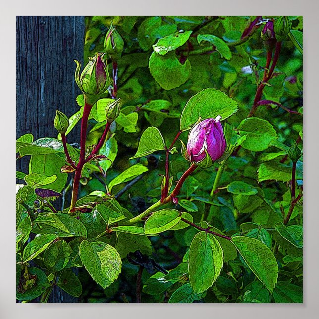 Rosebuds Poster (Front)