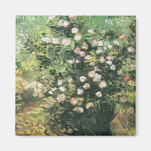 Rosebush in Blossom by Vincent van Gogh Magnet
