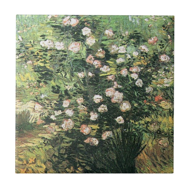 Rosebush in Blossom by Vincent van Gogh Tile (Front)