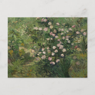 Rosebush in Blossom, Van Gogh Fine Art Postcard