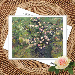 Rosebush in Blossom Vincent van Gogh Postcard