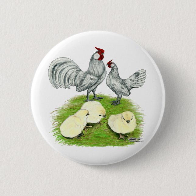 Rosecomb Bantams and Chicks 6 Cm Round Badge (Front)