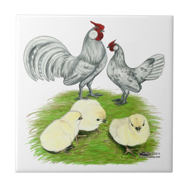 Rosecomb Bantams and Chicks Tile (Front)