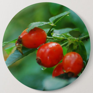 Rosehip after rain 6 cm round badge