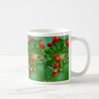 Rosehip bush after rain coffee mug
