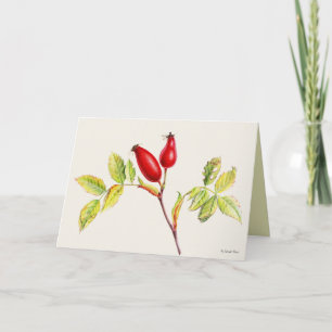 Rosehip fruits botanical watercolor painting card