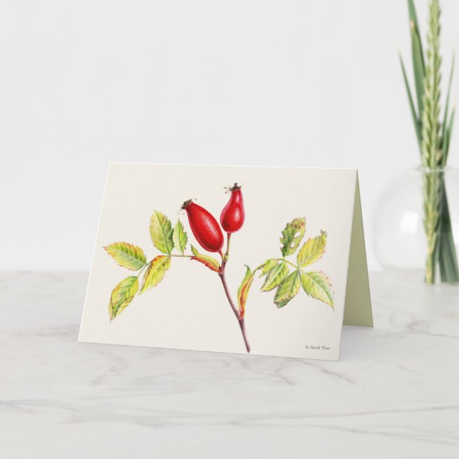 Rosehip fruits botanical watercolor painting card (Front)