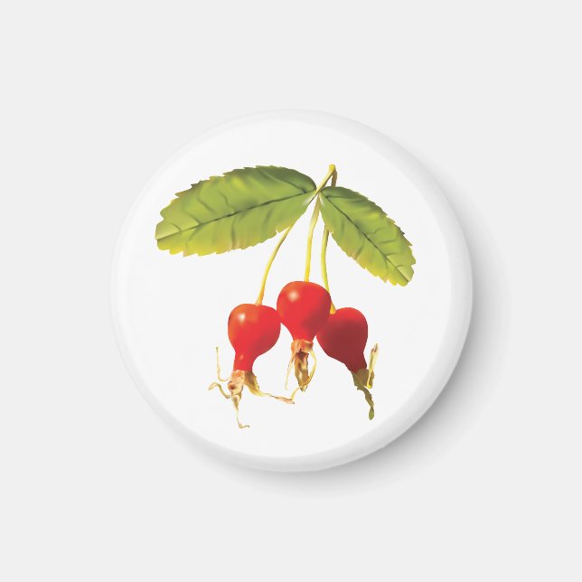 Rosehips Pattern 3 Magnet (Front)