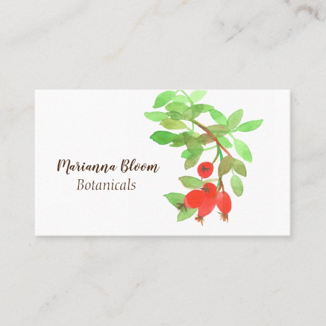Rosehips Roses Herb Botanical Plant Red Business Card (Front)