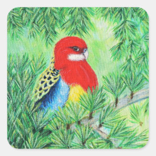 Rosella Bird Painting Square Sticker