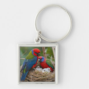 Rosella Birds Key Ring