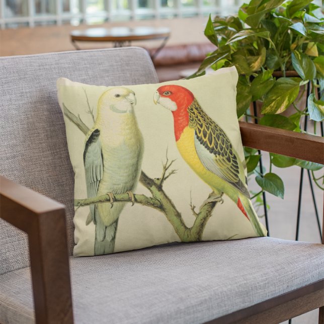ROSELLA PARAKEETS CUSHION (Creator Uploaded)