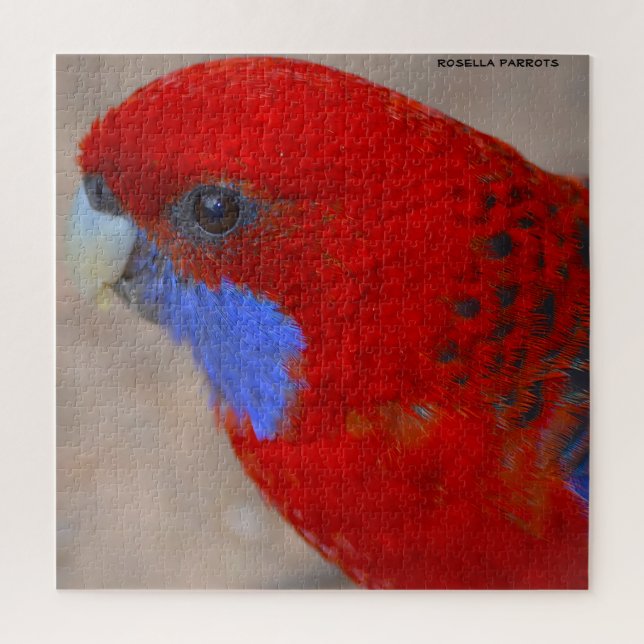 Rosella Parrots Australia Jigsaw Puzzle (Vertical)