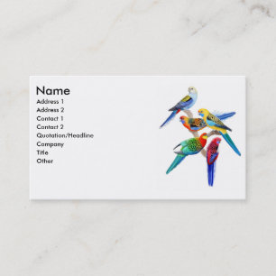 Rosella Parrots Business Card