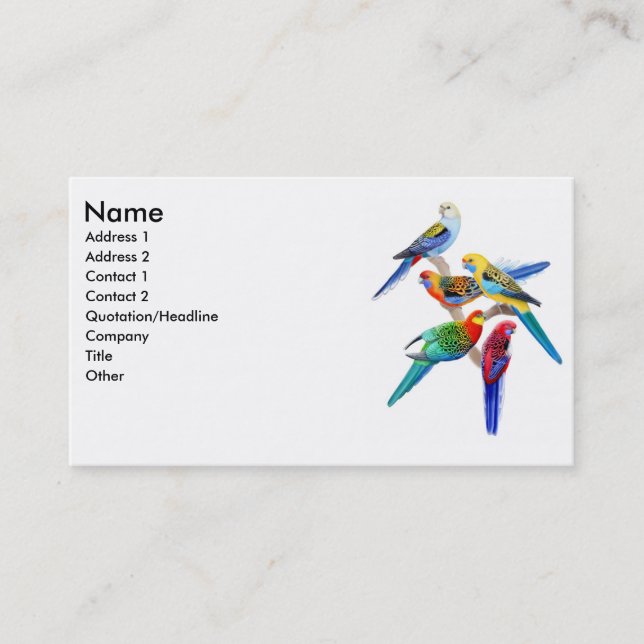 Rosella Parrots Business Card (Front)