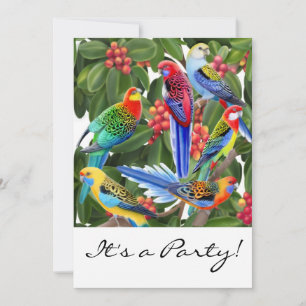 Rosella Parrots Customisable Invitation
