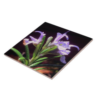 Rosemary Flowers Tile
