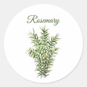 Rosemary Herb Greenery Kitchen Culinary Green chic Classic Round Sticker