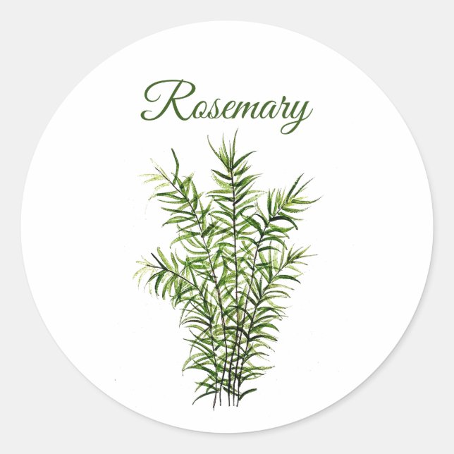 Rosemary Herb Greenery Kitchen Culinary Green chic Classic Round Sticker (Front)