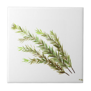 Rosemary herb kitchen art watercolour painting tile