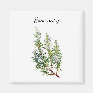 Rosemary Herb Magnet