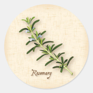 Rosemary Herb Round Stickers