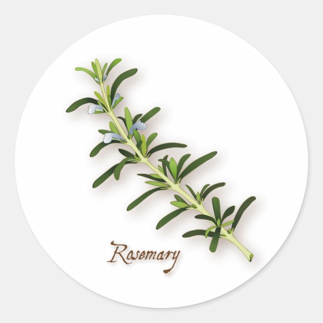 Rosemary Herb Round Stickers (Front)
