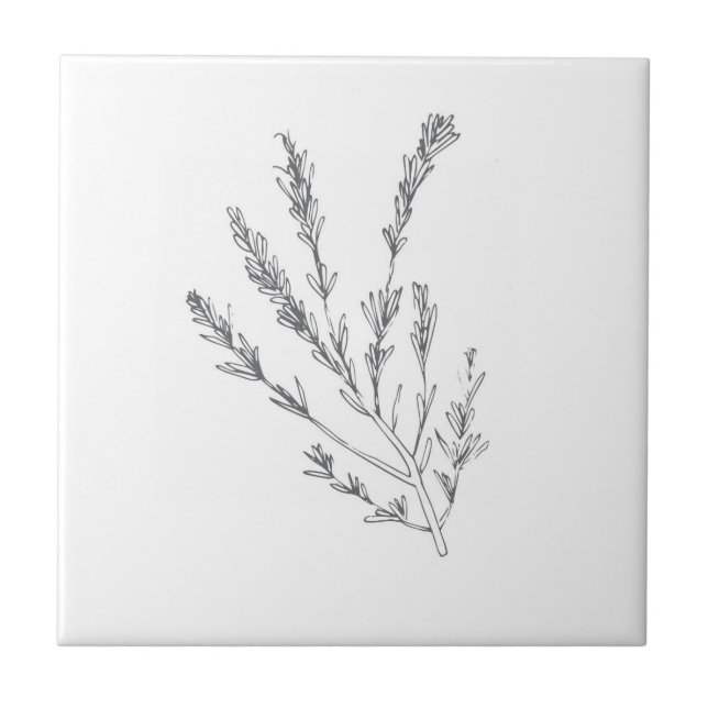 Rosemary Herb small tile (Front)