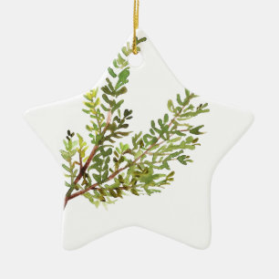 Rosemary herb Watercolor green botanical plant Ceramic Tree Decoration