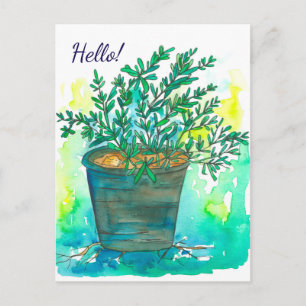 Rosemary Herb Watercolor Hello Postcard