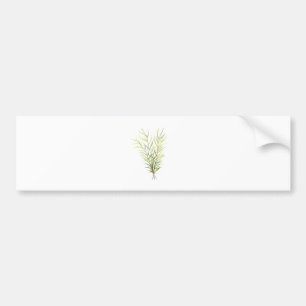 Rosemary herbs bumper sticker