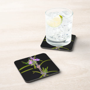 Rosemary in Bloom Coaster