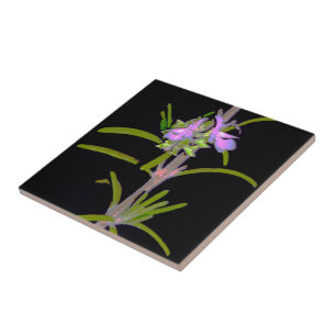 Rosemary in Bloom Tile