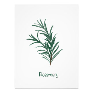 Rosemary Kitchen Wall Art