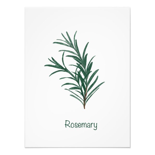 Rosemary Kitchen Wall Art (Front)