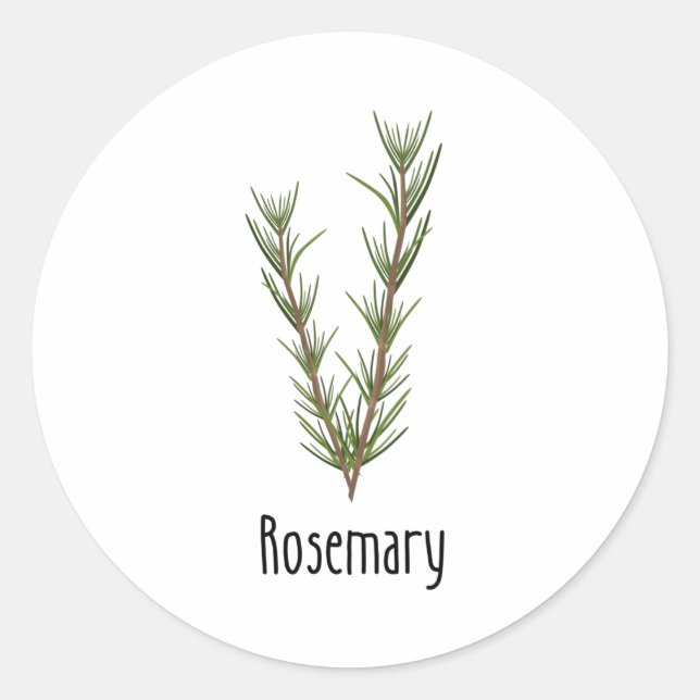 Rosemary Spices Herbs Classic Round Sticker (Front)