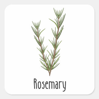 Rosemary Spices Herbs Square Sticker