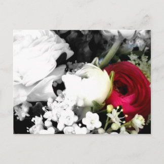 Rosenweissundrot Postcard