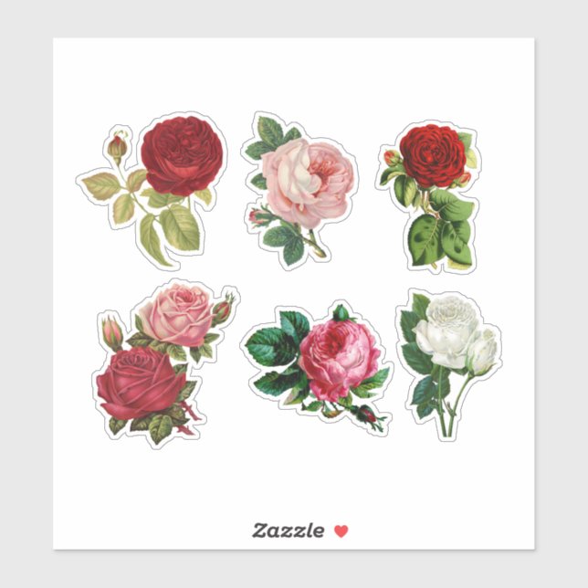 Roses (Sheet)