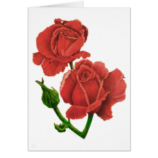 Roses