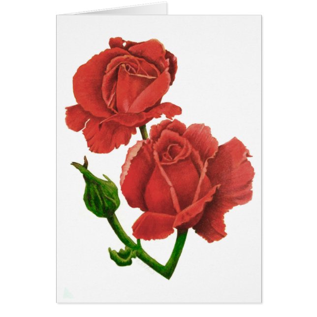Roses (Front)