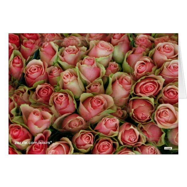 Roses (Front Horizontal)